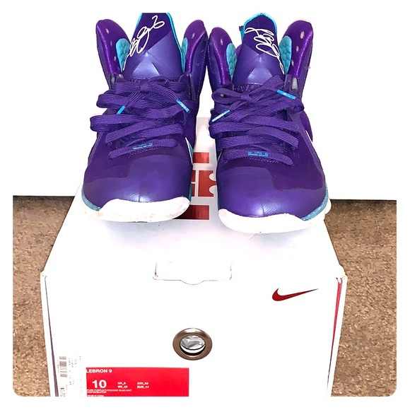 Nike Other - Nike, LeBron 9 Hornets